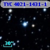 TYC 4021-1431-1