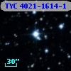 TYC 4021-1614-1