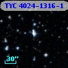 TYC 4024-1316-1