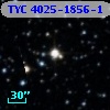 TYC 4025-1856-1