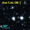 Ass Cas OB   7-