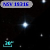 NSV 18316