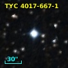 TYC 4017-667-1
