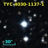 TYC 4030-1137-1