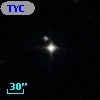 TYC  835-21-1