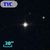 TYC  833-1316-1