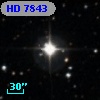 HD   7843