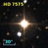 HD   7575
