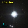 *  14 Sex