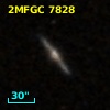2MFGC 7828