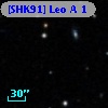 [SHK91] Leo A 1
