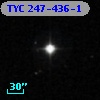 TYC  247-436-1