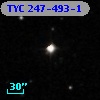 TYC  247-493-1