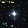 HD   7829