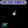 TYC  237-1309-1