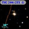 TYC  244-273-1