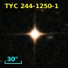 TYC  244-1250-1