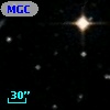 MGC   515