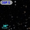 31P  5