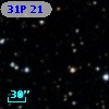 31P 21