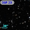 31P 23