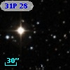 31P 28