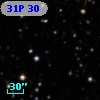 31P 30