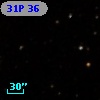 31P 36