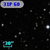 31P 60