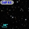 31P 61