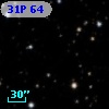 31P 64