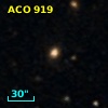 ACO   919