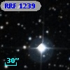 RRF 1239