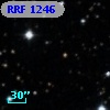 RRF 1246