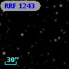 RRF 1243