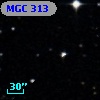 MGC   313