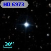 HD   6973