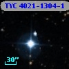 TYC 4021-1304-1