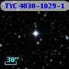 TYC 4030-1029-1