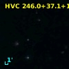 HVC 246.0+37.1+174