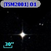 [TSM2001] O1