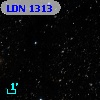 LDN 1313