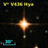 V* V436 Hya