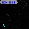 LDN 1316