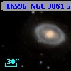 [EKS96] NGC 3081  53