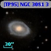 [TP95] NGC  3081   3
