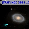 [TP95] NGC  3081  12