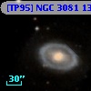 [TP95] NGC  3081  13