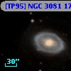 [TP95] NGC  3081  17