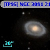 [TP95] NGC  3081  21